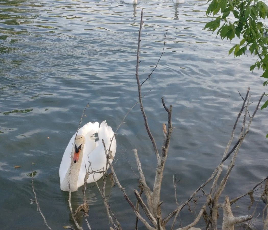 Bords de Marne 3